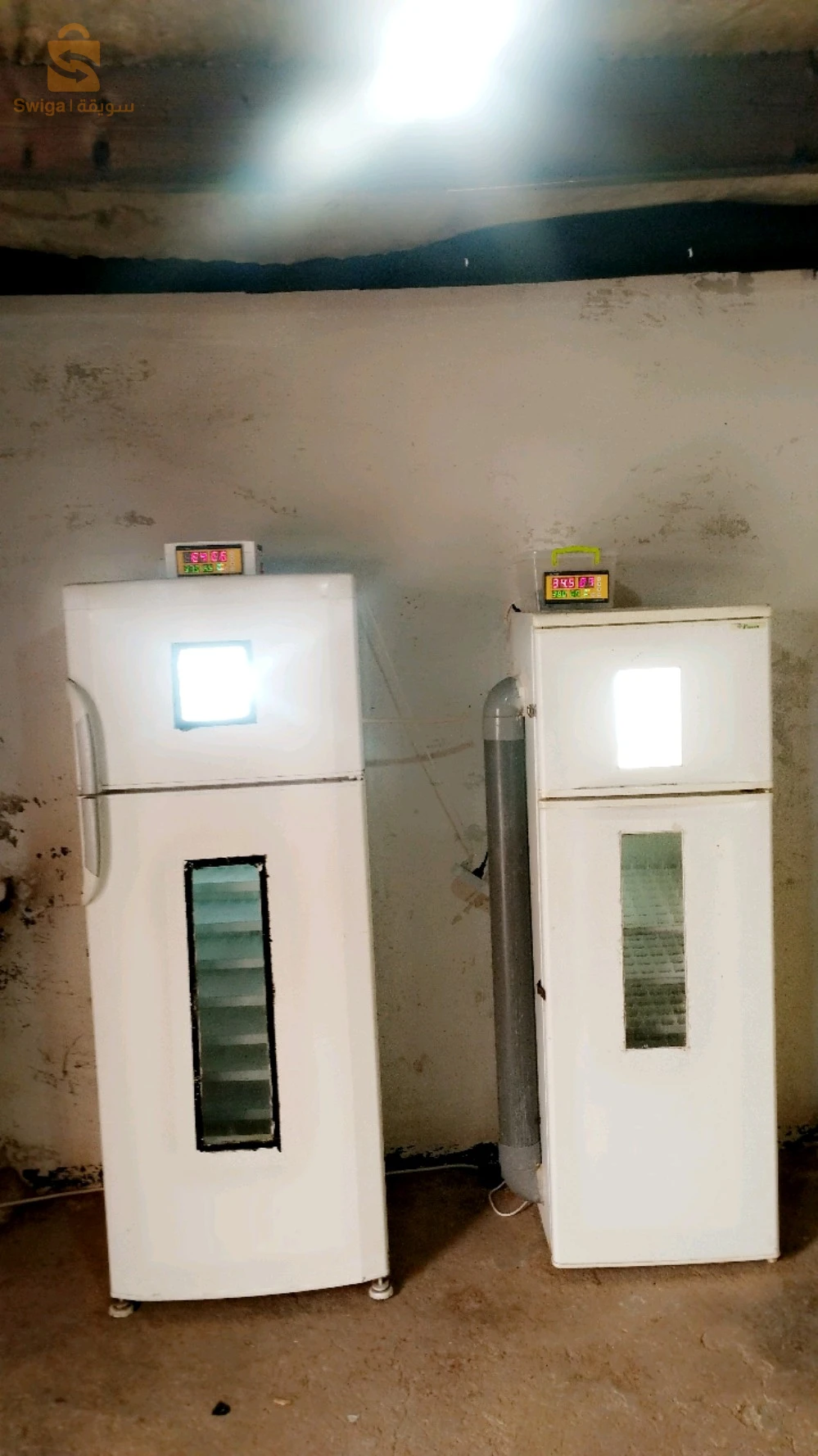 زوج فقسات للبيع وحدة ترفد 424 وحدة ترفد 624 كلش يخدم فيهم اتوماتيك متواجدين في بوسعادة دائرة بن سرور رقم الهاتف 0665754826