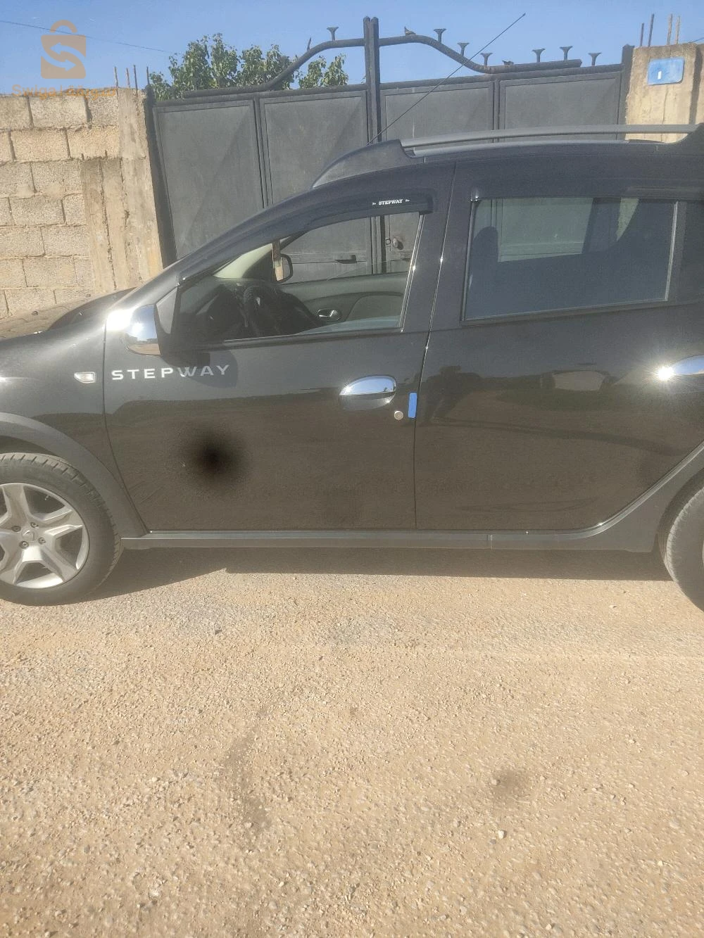 الطارف