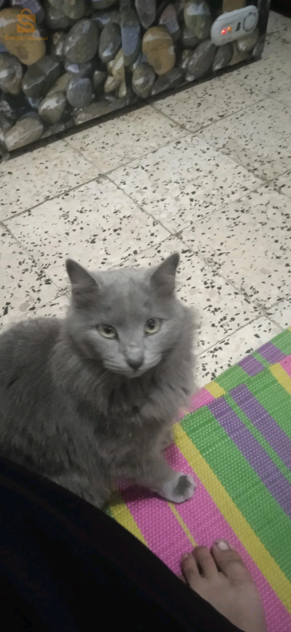 بيع