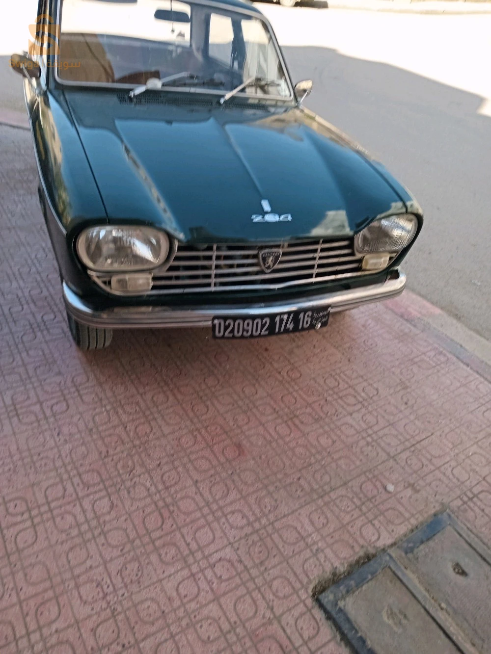 Peugeot 204