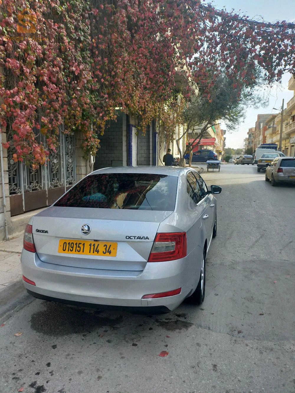 Skoda  octavia