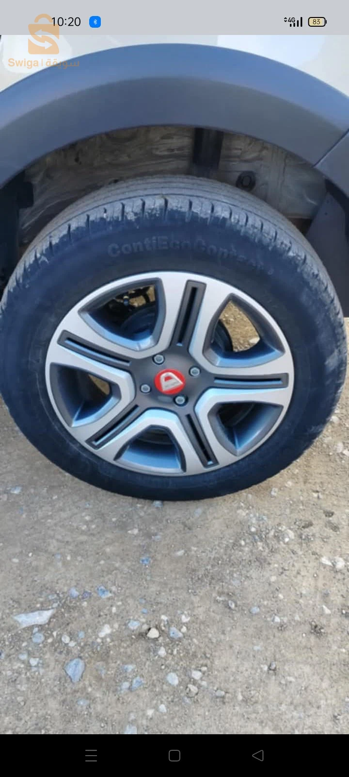 البويرة سور الغزلان