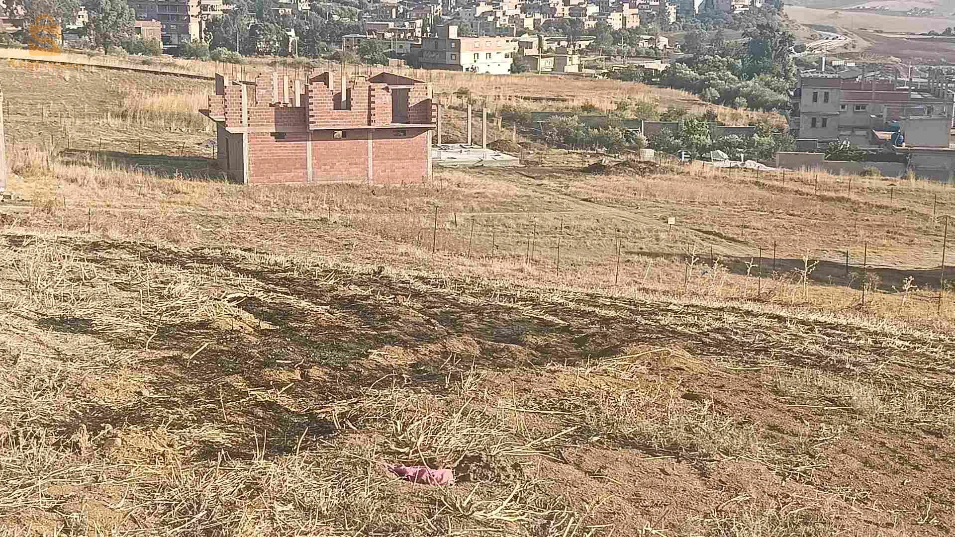 بيع وتبادل