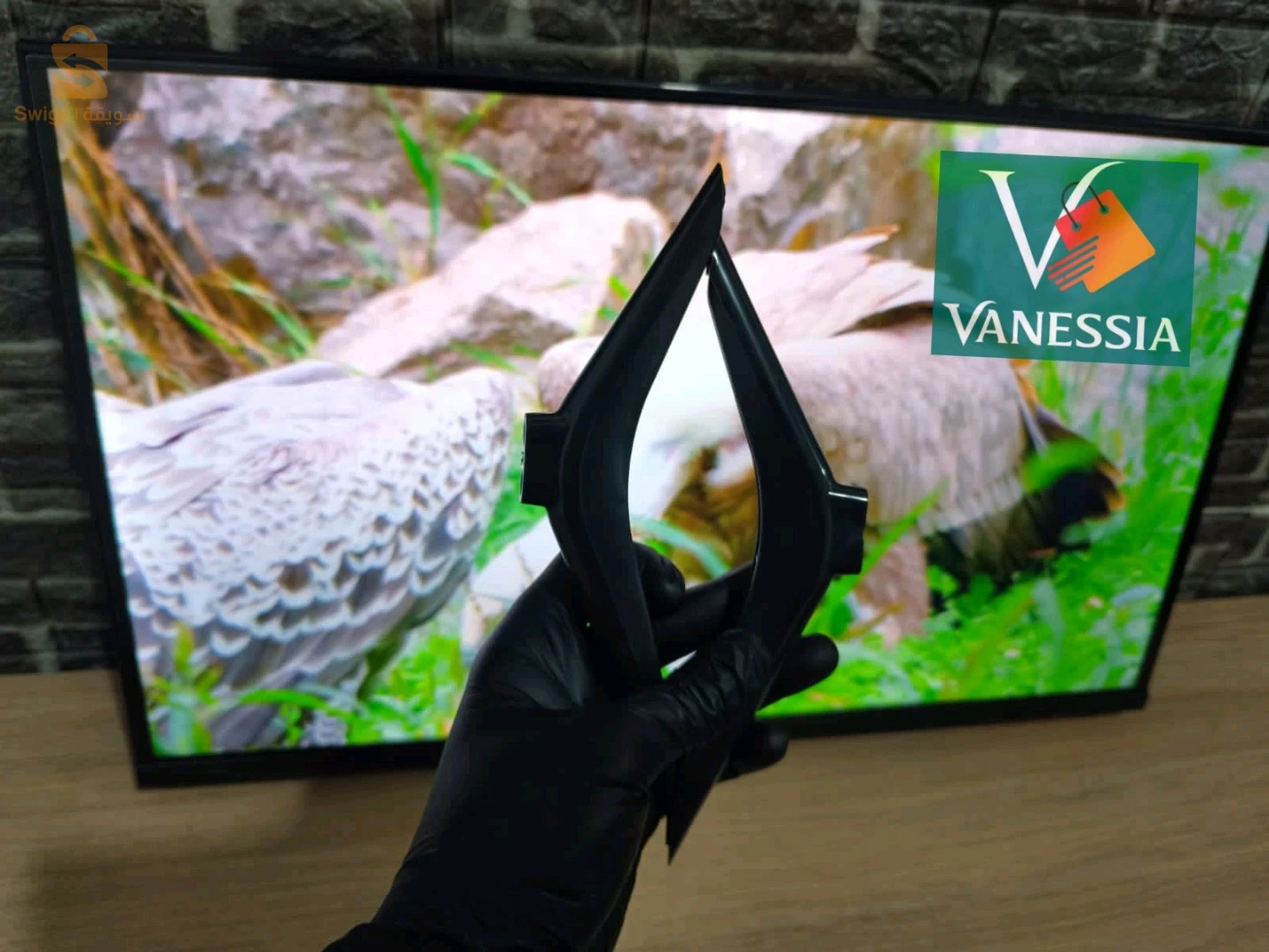 توصيل الجزائر مجاني