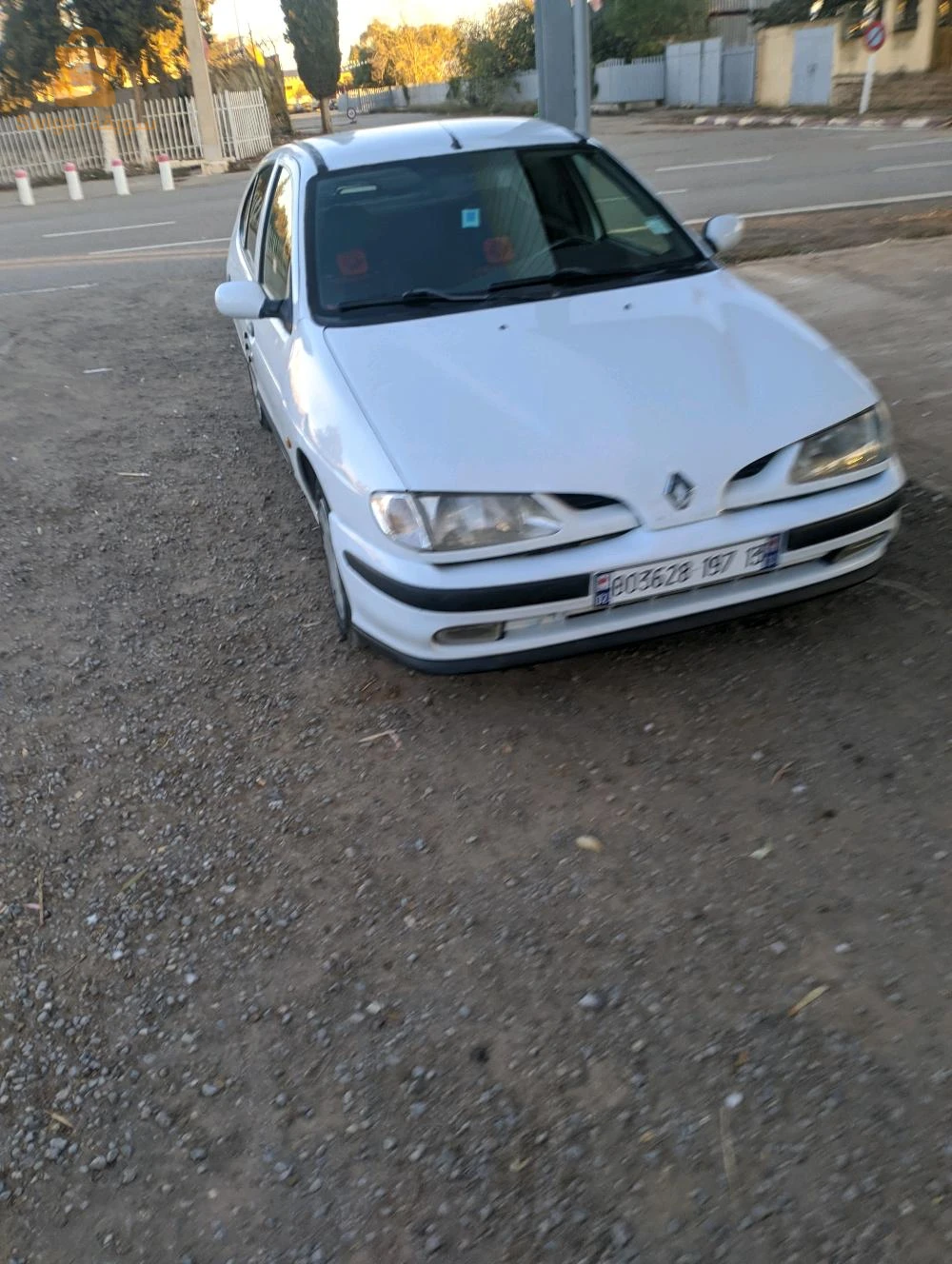 بوحلو -مغنية
