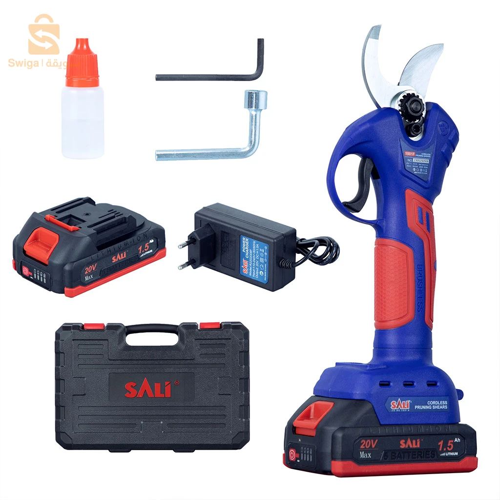 	SALI Sécateur électrique 25 V avec 2 Batteries
