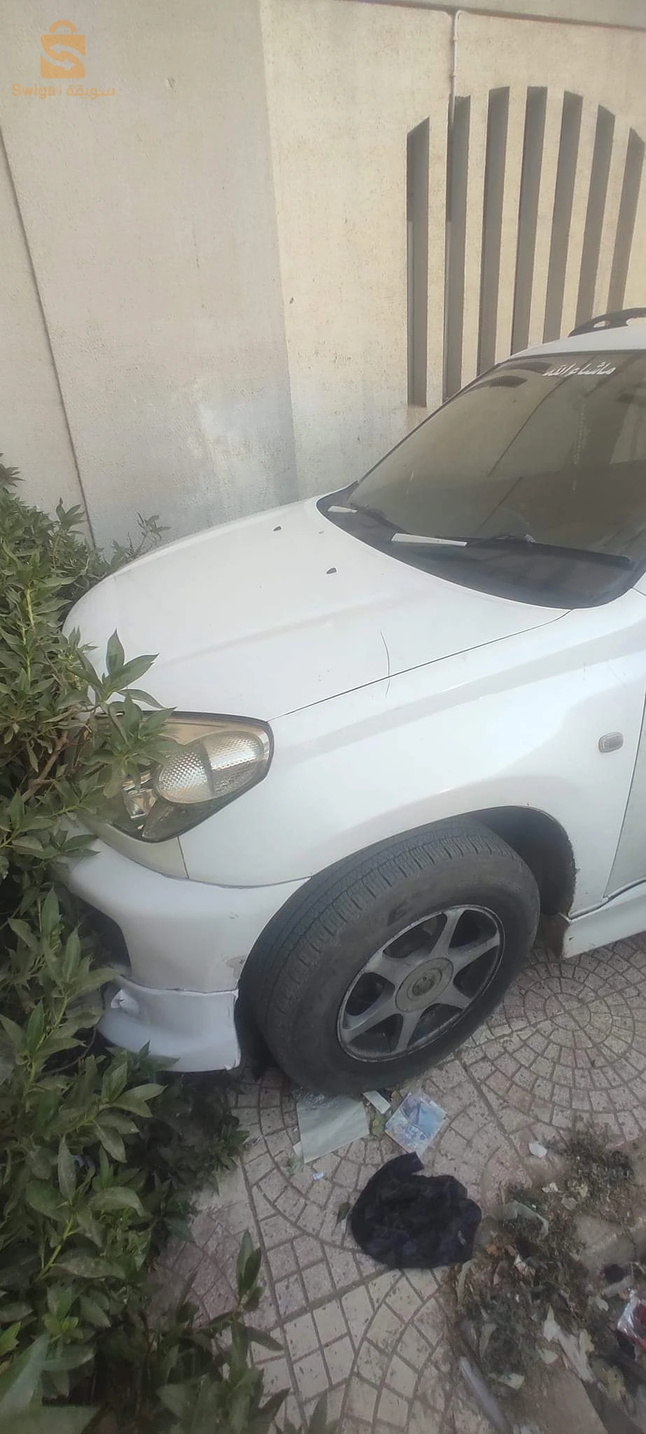 المدية