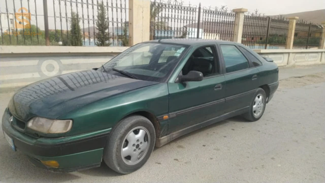 صفران مزوت