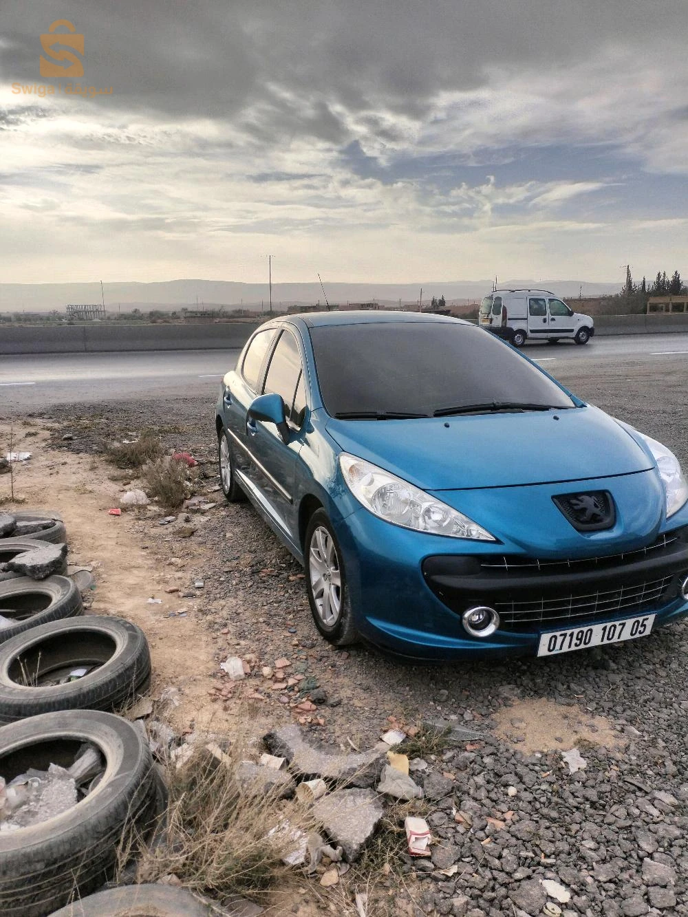 207 سلعة زينة