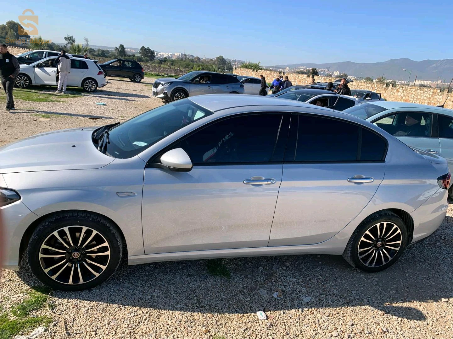 fiat tipo live