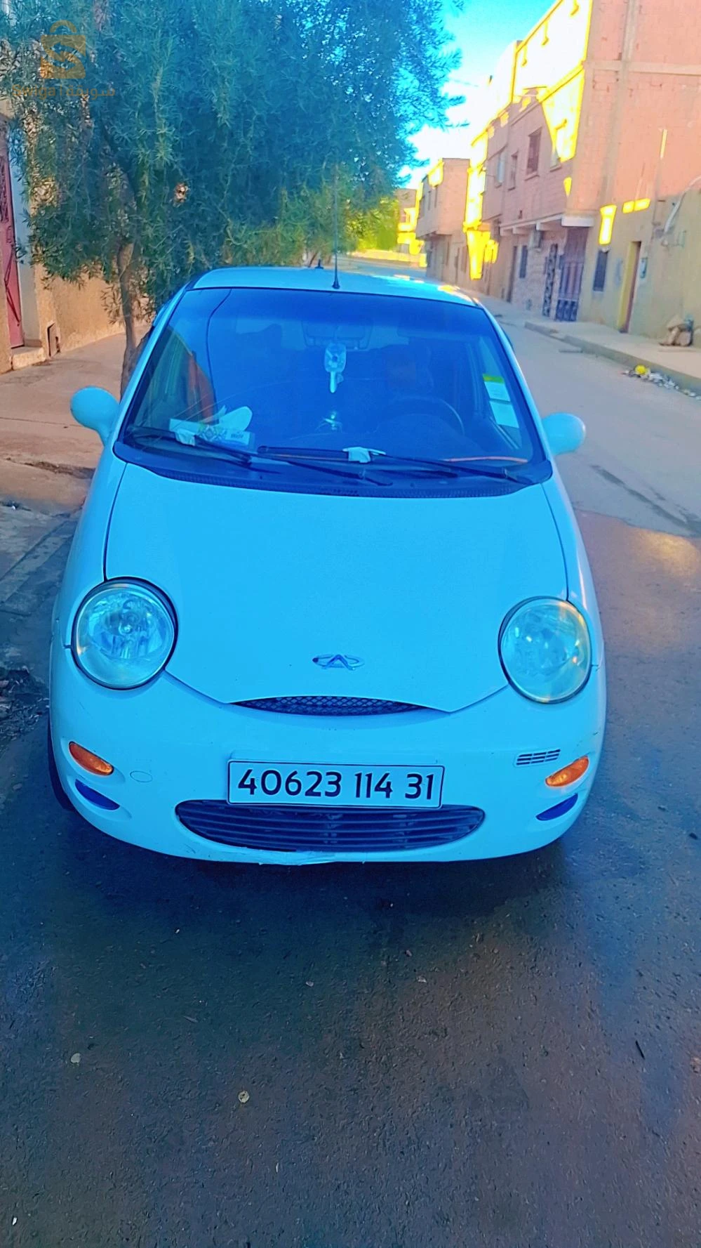 شيري كيوكيو سنة 2014