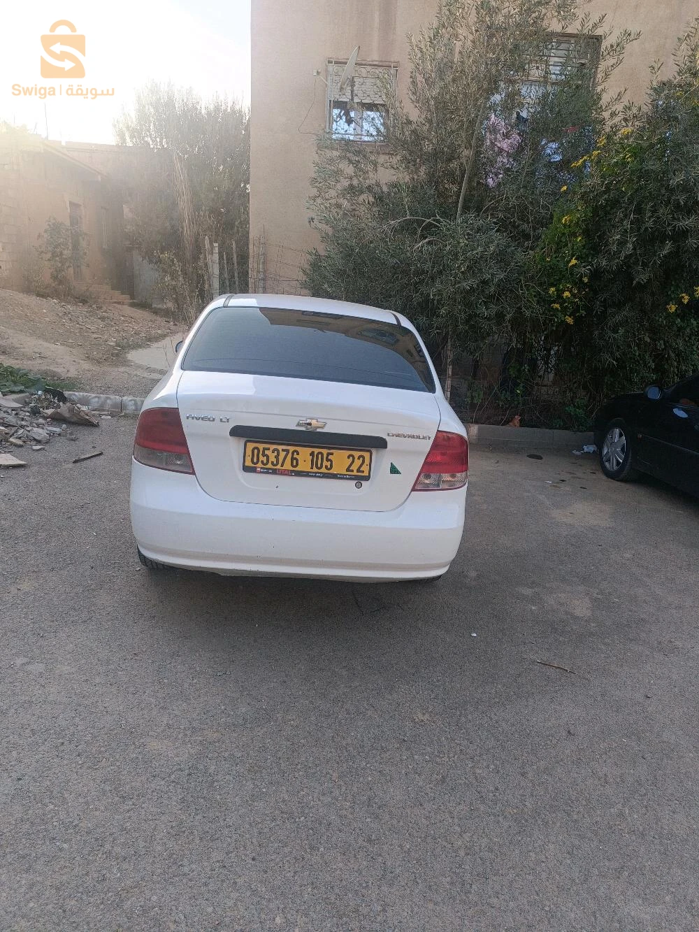 فيها رشاوا خاوتي موتار