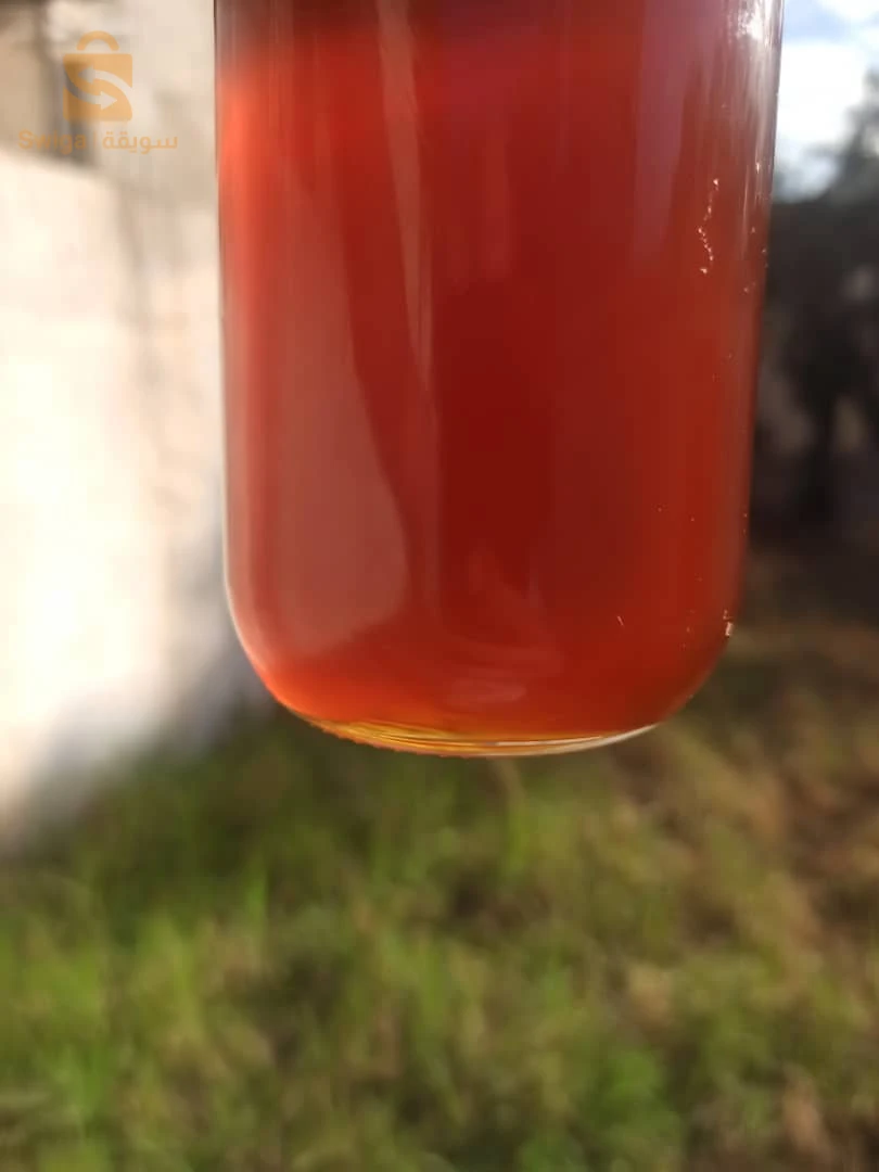 عسل السدر