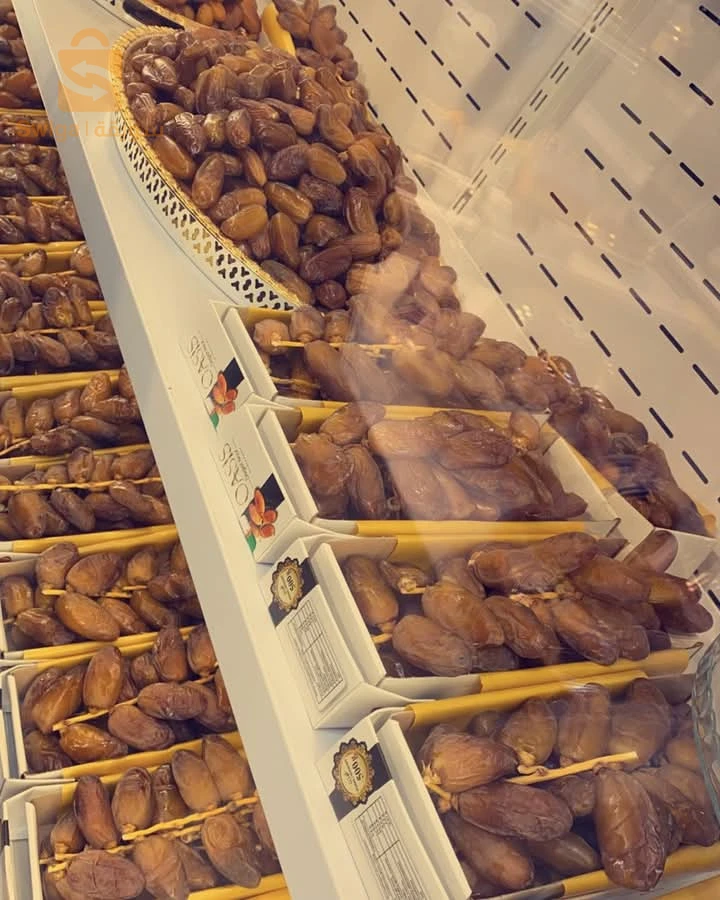 فوغالة بسكرة