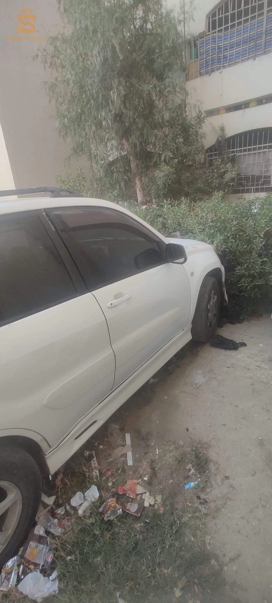 المدية