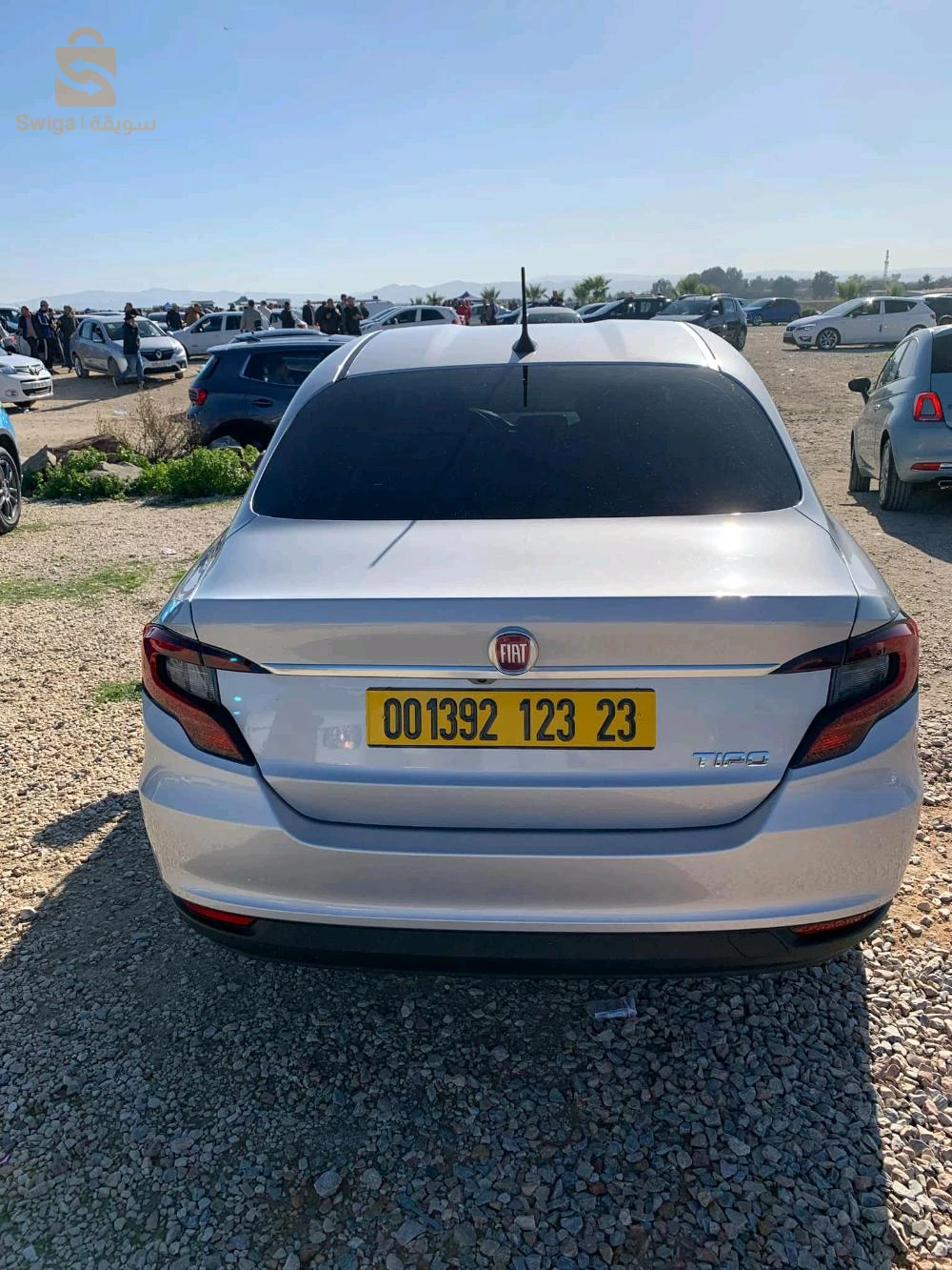 fiat tipo live