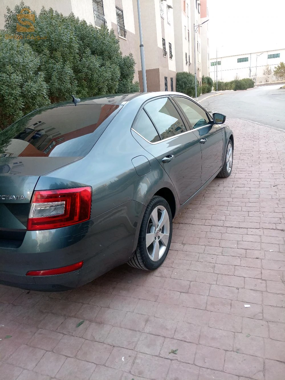 عين ارنات
