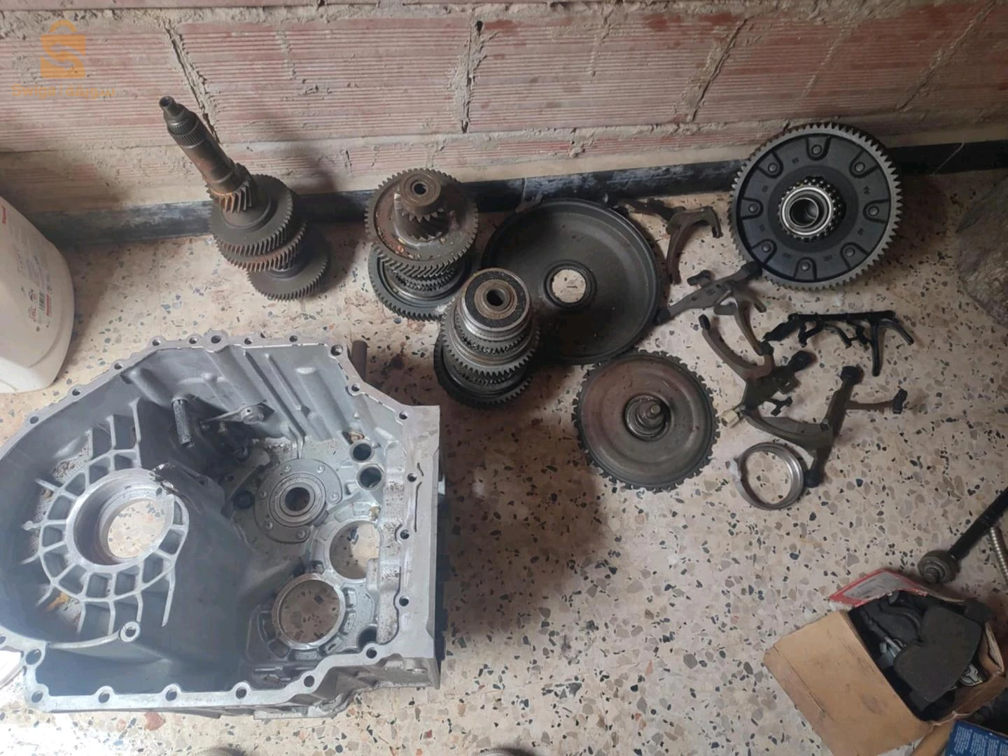 بواط فيتاس كيبرا 2023