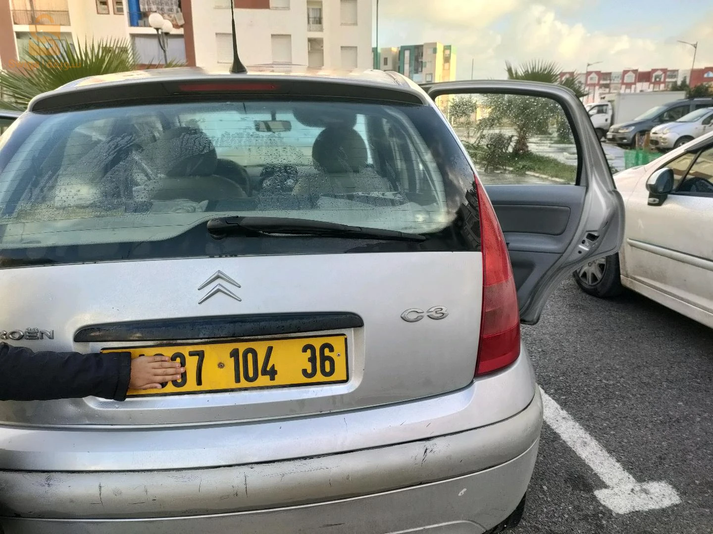 الطارف