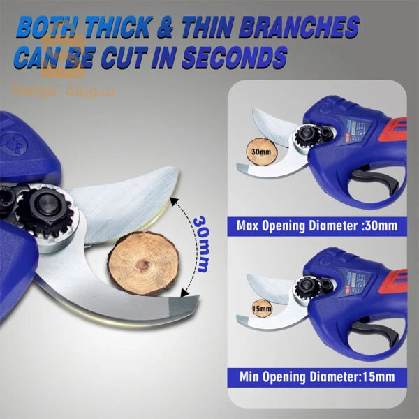 	SALI Sécateur électrique 25 V avec 2 Batteries