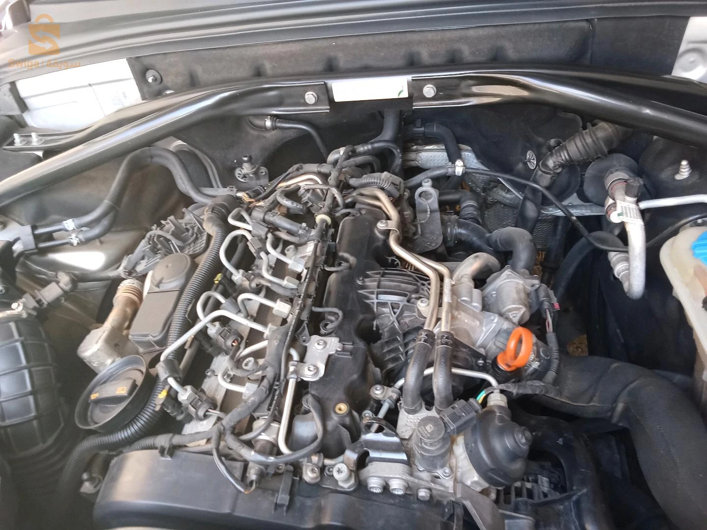 قصر البخاري المدية