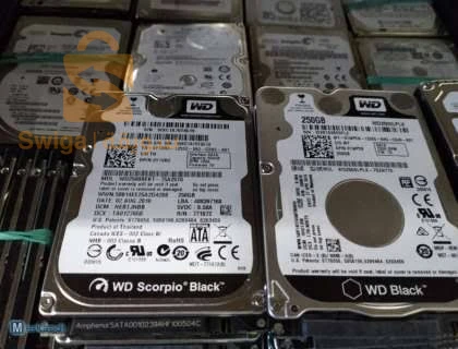 disque dur hdd 500gb 1600elf bark🤩