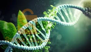 دروس خصوصية في مادة العلوم الطبيعية و الحياة