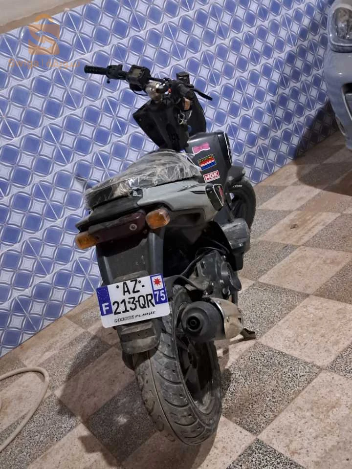 Kolchi marche
