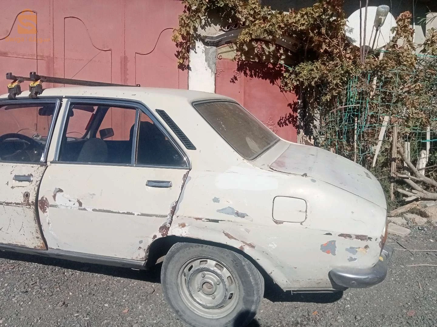 المدية