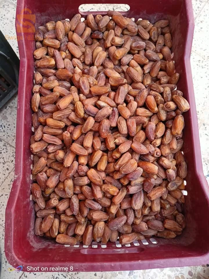 فوغالة بسكرة