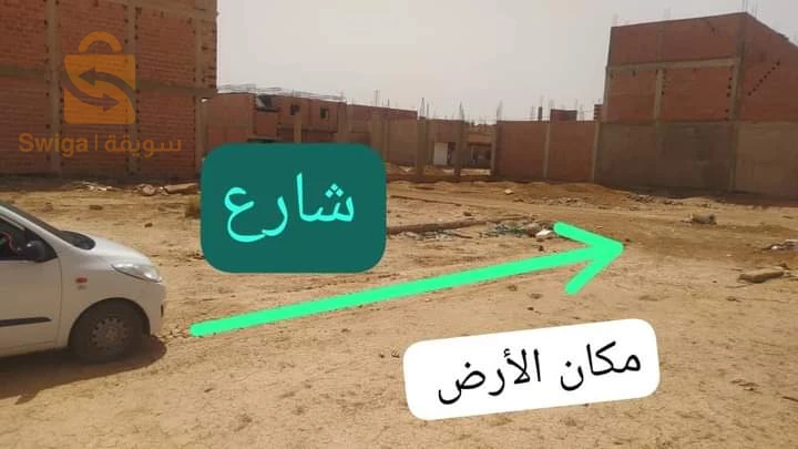 لبشاش تعاونية حليمي