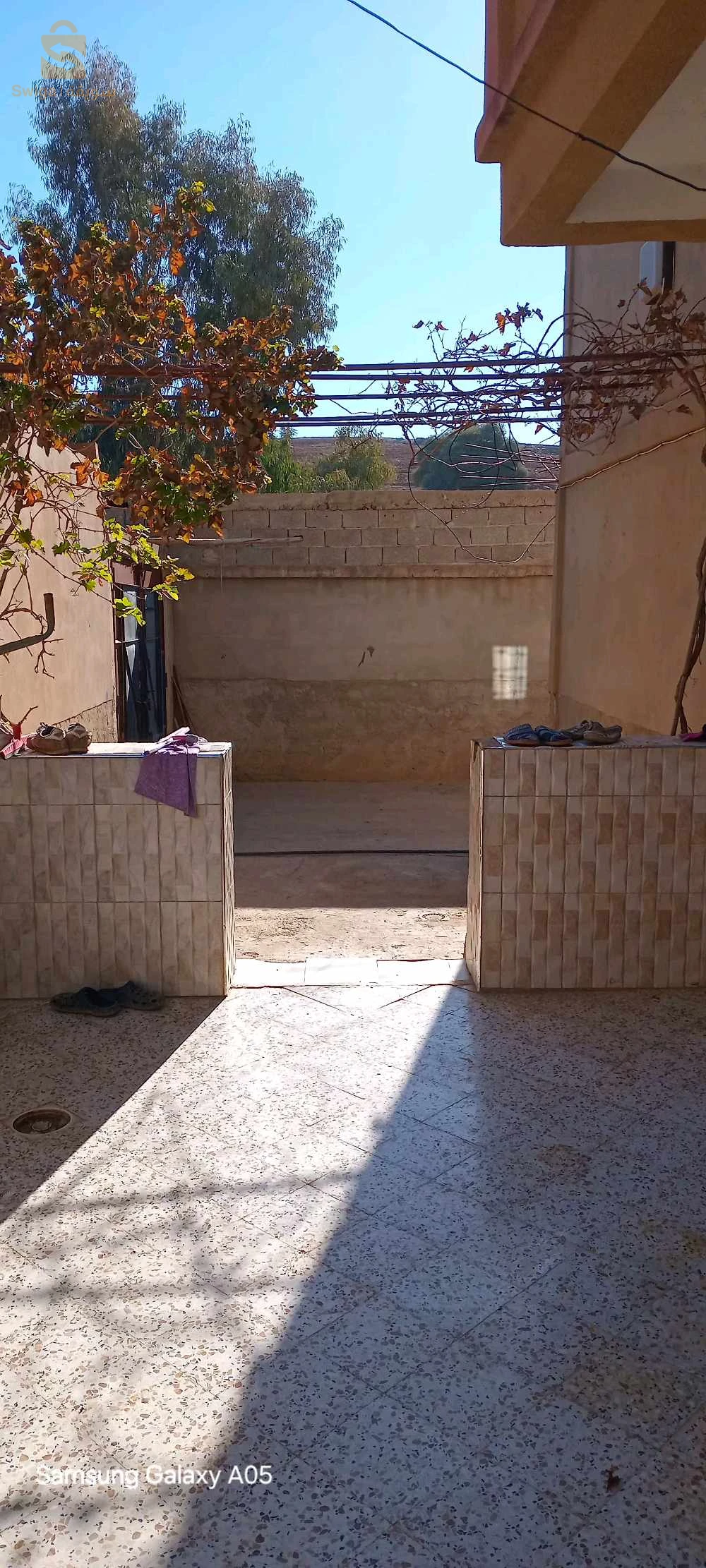 شعبة الابطال