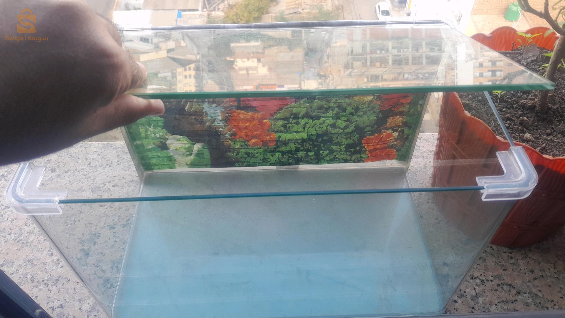 بلونجي ولاية وهران