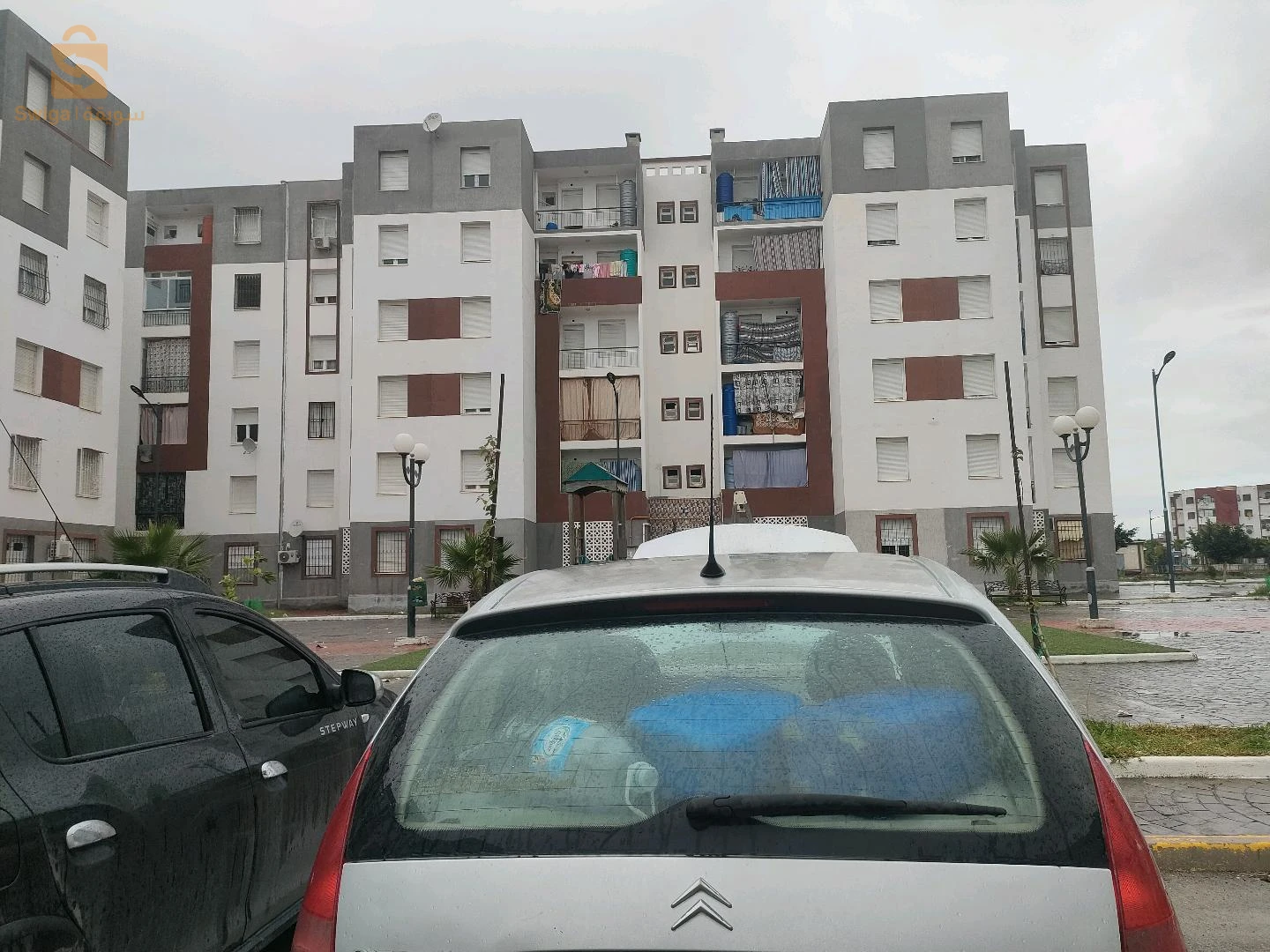 الطارف