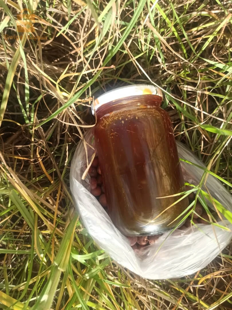 عسل السدر