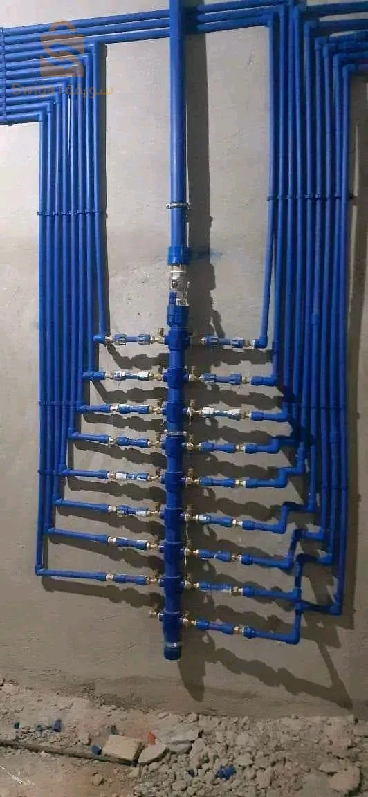 بلومبي