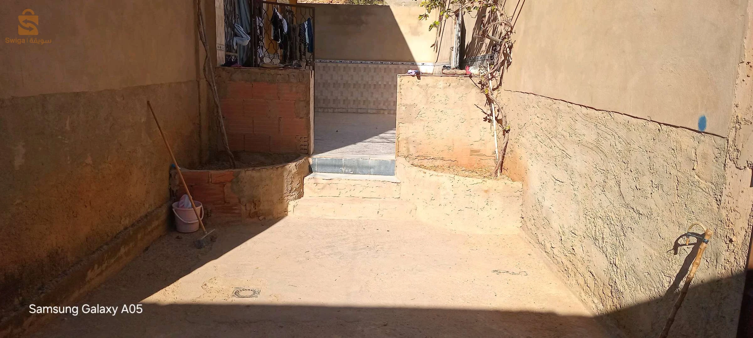 شعبة الابطال