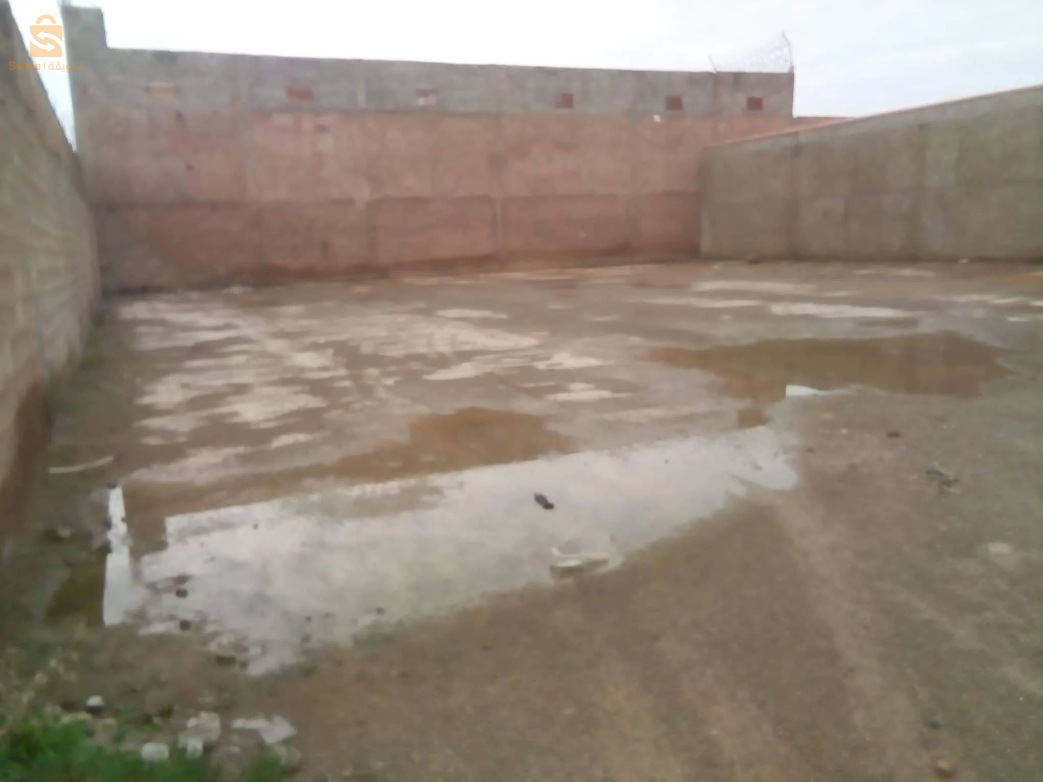 سيدي عبد مومن لولاية معسكر