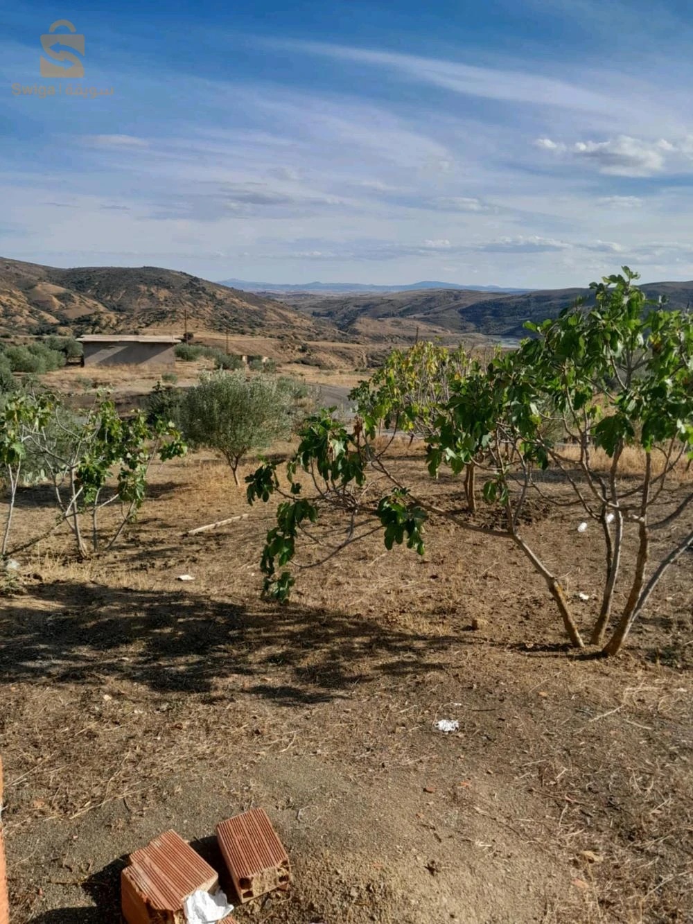 كركاسة للبيع