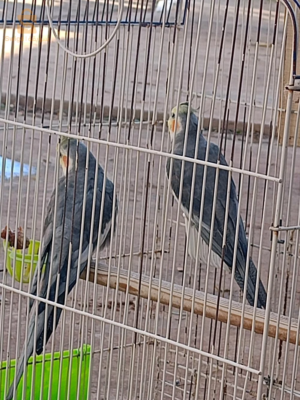 حمام بوحجر