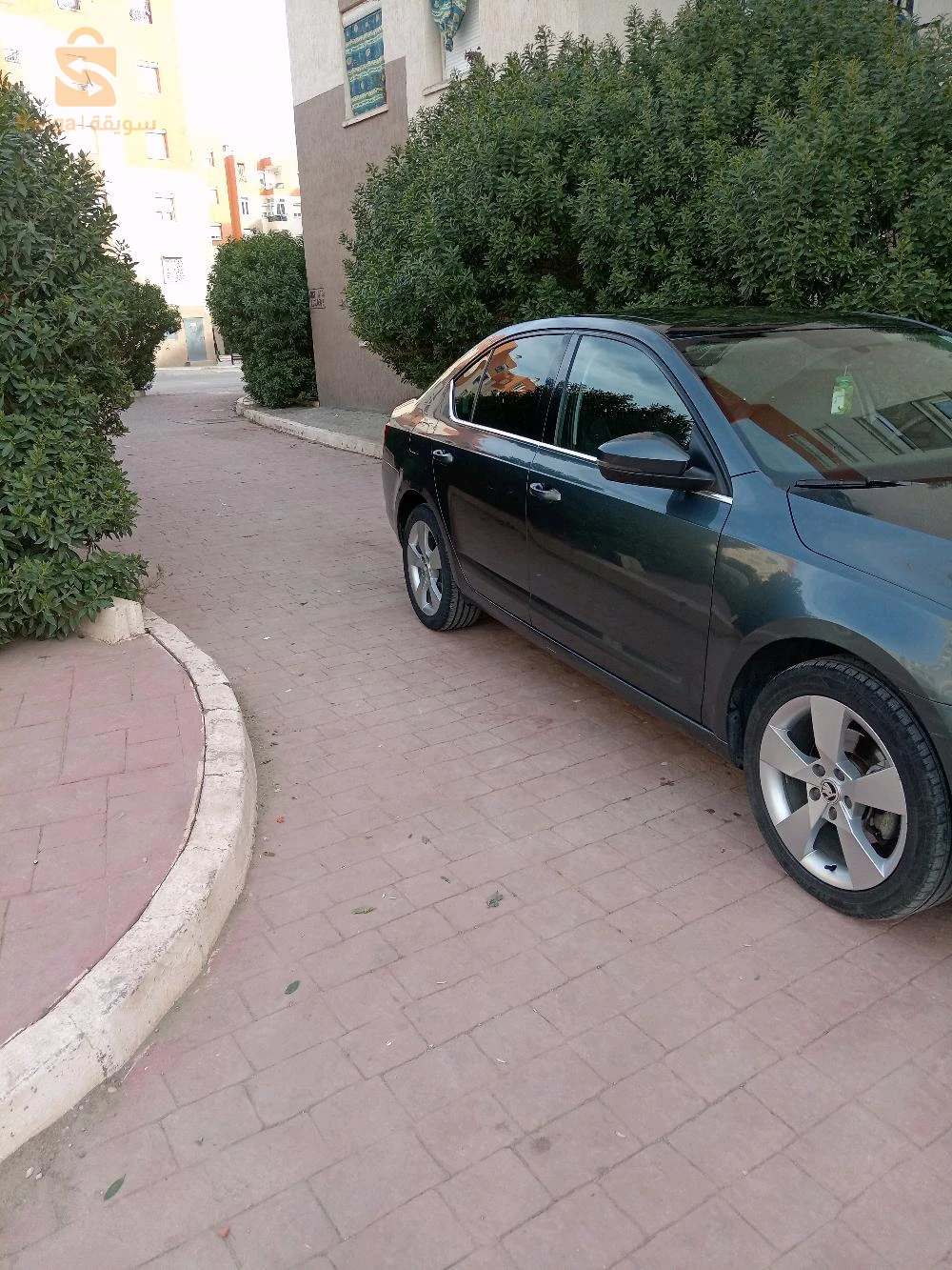 عين ارنات