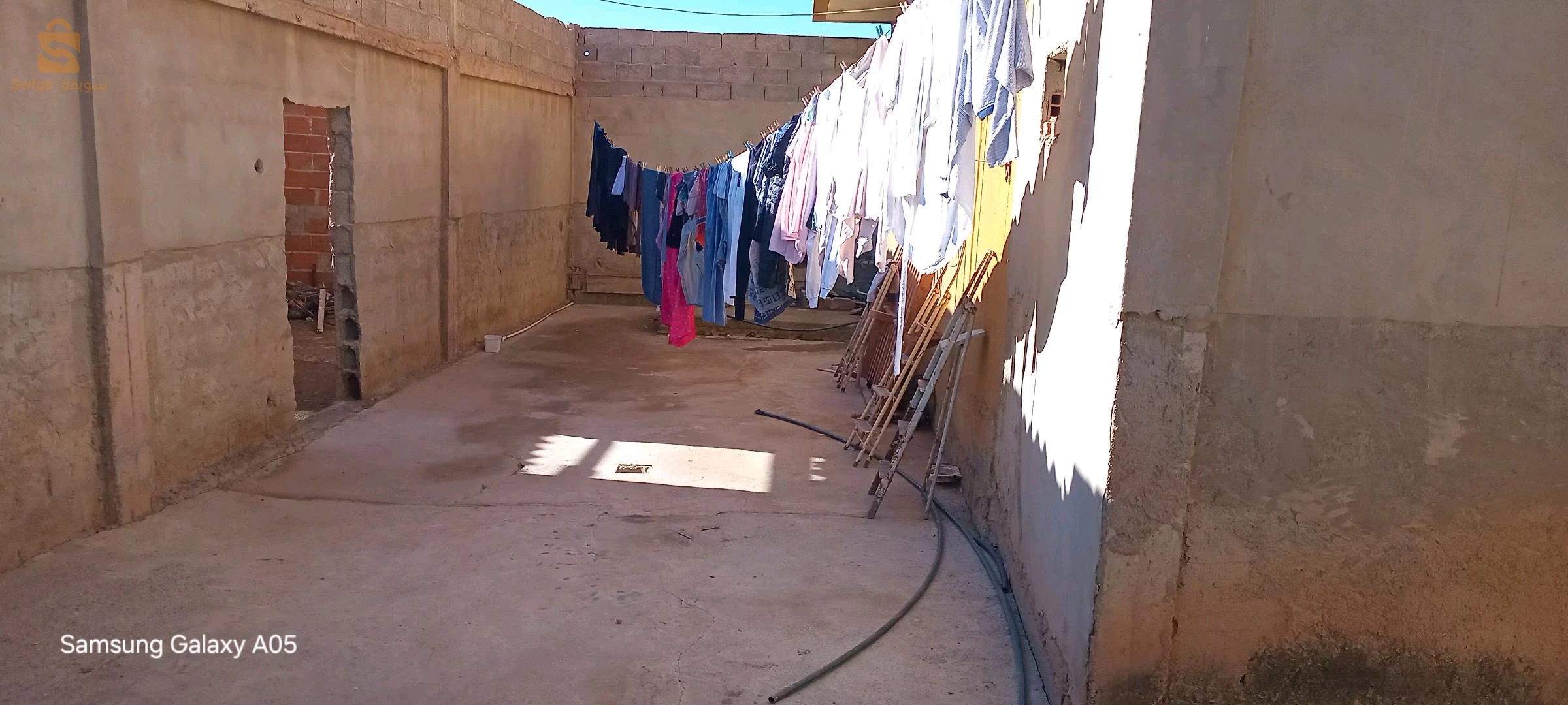 شعبة الابطال