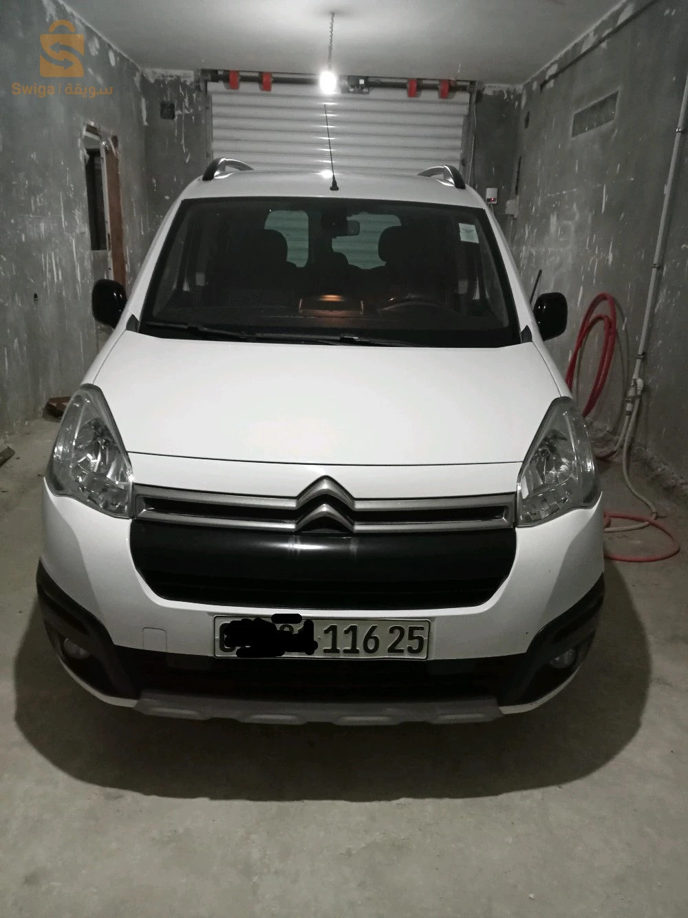 berlingo