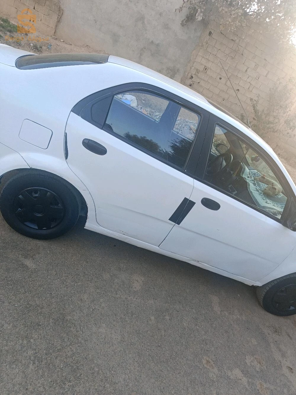فيها رشاوا خاوتي موتار