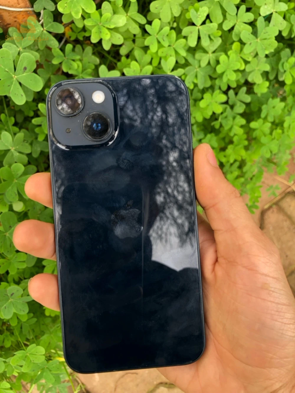 iPhone 14