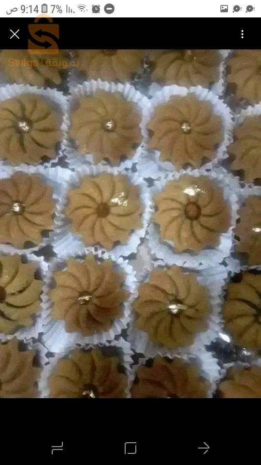 قاطو لجميع المناسبات