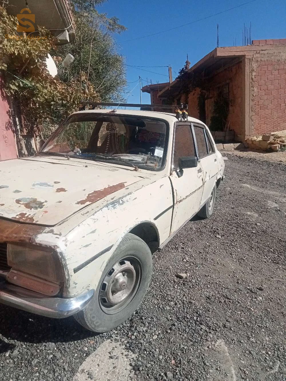 المدية