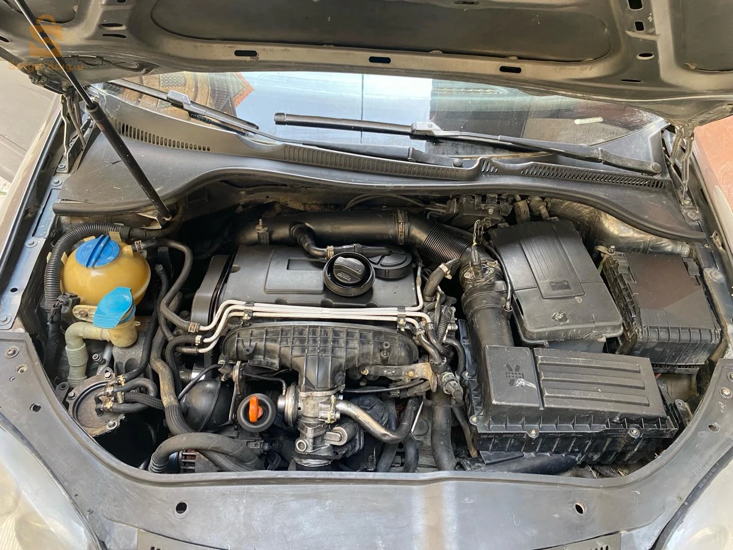 Golf 5