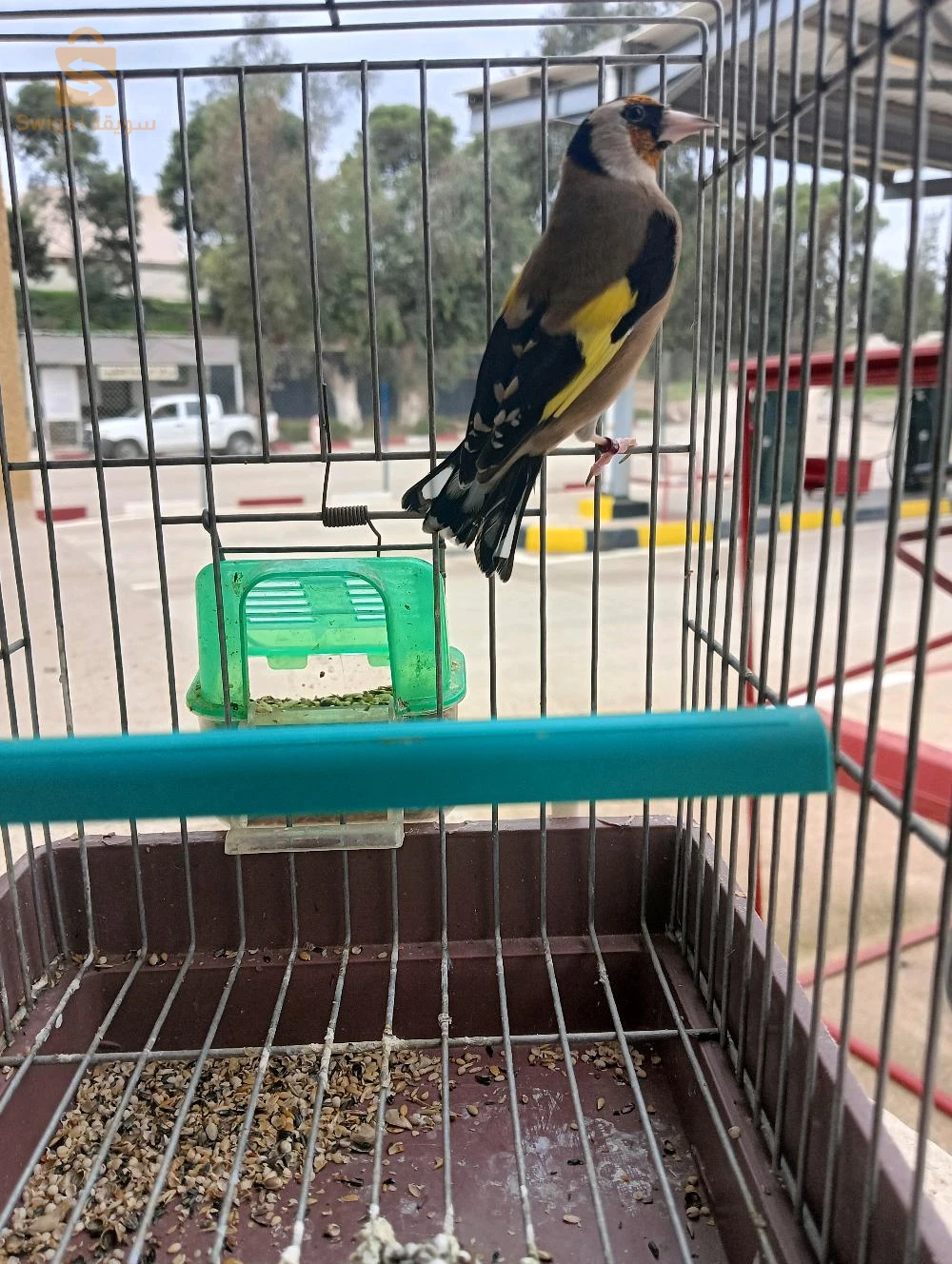 نوعية جيدة باق 2023