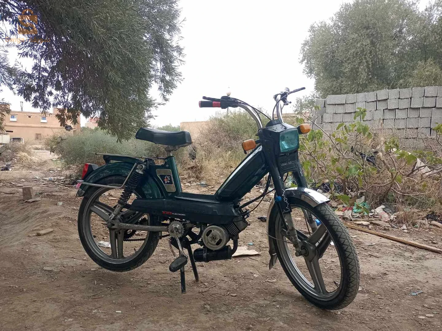 مقرة